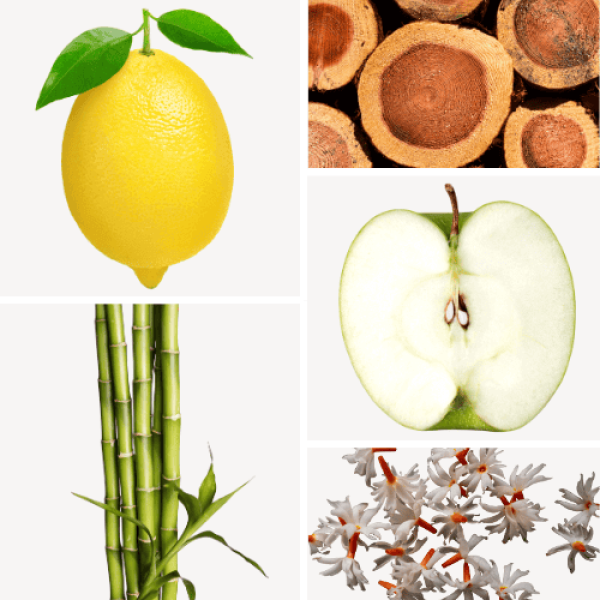 Duftnoten: Zitrone, Bambus, Zdernholz, Jasminblüte, Apfel